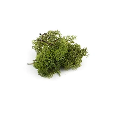 Image of War World Scenics Lichen Dark Green Moss Model Foliage 20g Railway Wargame Scenery Landscape Modelling Trees Bushes Hedges Diorama Basing Material