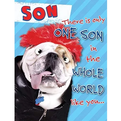 Image of Piccadilly Greetings Humour Birthday Card Son 8 x 6 inches