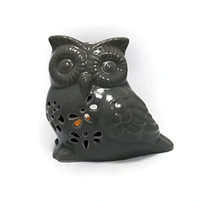 Image of JJA Wax Burner, Owl Ceramic Melt Burners, Oil Diffuser, Melts, Room Décor, Essential Oils for Diffusers Home Decor, Aromatherapy Air Fresheners, (Grey) N1823G