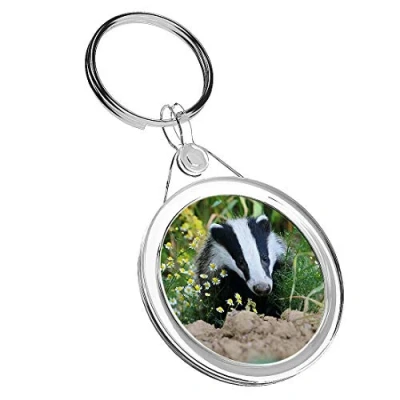 Image of 1 x European Forest Badger Adorable Keyring IR02 Mum Dad Birthday #15713