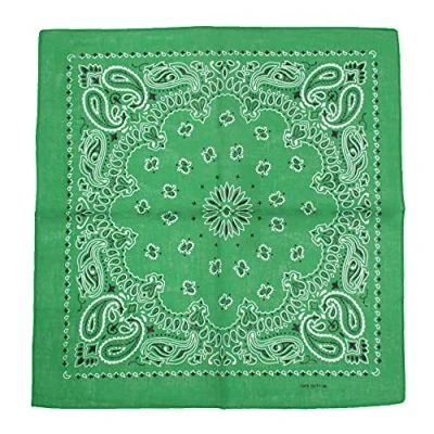 Image of Zac&#039;s Alter Ego Alternative Retro Paisley Cotton Bandana/Neckerchief/Headtie/Face Mask