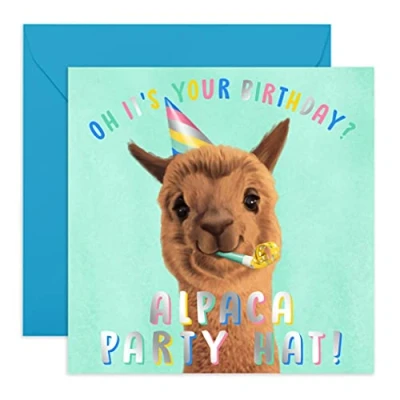 Image of Central 23 Funny Birthday Card &#039;Alpaca Hat&#039; Witty Animal Pun for Friends Cute Design Kids Comes With Fun Stickers