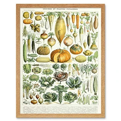 Image of Artery8 Millot Encyclopedia Page Legumes Vegetables Art Print Framed Poster Wall Decor 12x16 inch