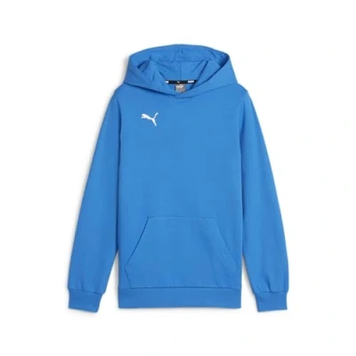 Image of PUMA teamGOAL Casuals Hoody Jr