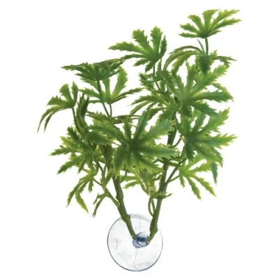 Image of Zoo Med Laboratories AZMBP21 Betta Plant Papaya