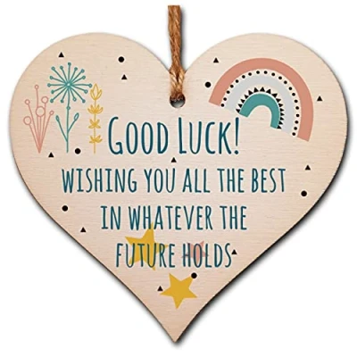 Image of The Plum Penguin Handmade Wooden Hanging Heart Plaque Gift Good Luck Best Future Leaving Retirement Present Colleague Neighbour Card Alternative