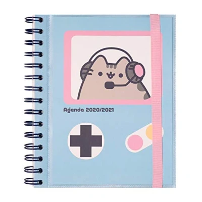 Image of Erik Pusheen Academic Diary 2020 2021 Week to View