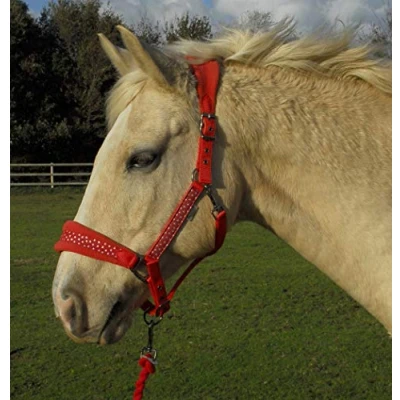 Image of Rhinegold Star Spangled Headcollar &amp; Rope Set