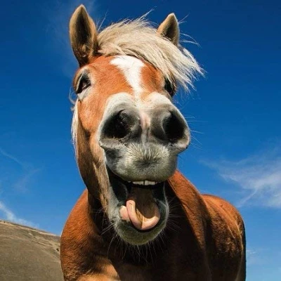 Image of Ani&#039;mates 3D Holographic Card Horse