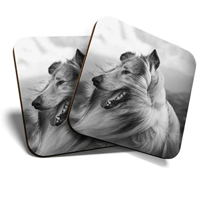 Image of 2 x Square Coasters Beautiful Rough Collie Animals Pets Cork Backed Home Kitchen Accessory Tea Coffee Mug Mat #41296