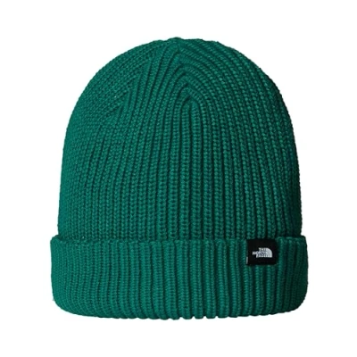 Image of The North Face Fisherman Beanie Unisex Beanie, Size: One Size, Evergreen