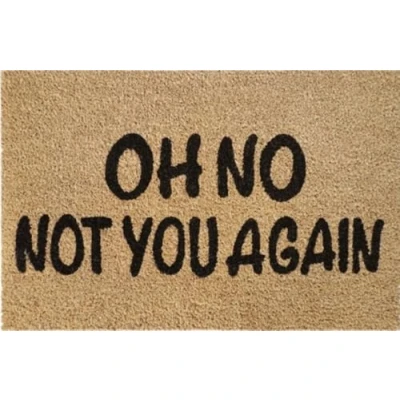 Image of Natural Coir 60cm x 40cm heavy duty doormats with rubber base funny message (not you again)