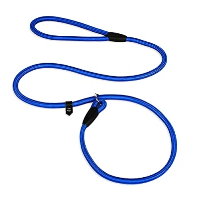 Image of Dog Slip Leads Leash, 4.5FT Durable Puppy Rope Leashes Collar Nylon Training Walking Lead for Small Medium Dogs (Blue)