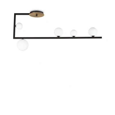 Image of Birds Globe Semi Flush Light Black