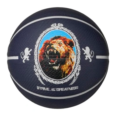 Image of Nike Performance Playground Lebron James Deflated Basketball, Size: 7, Purple ink/phantom/black/phantom