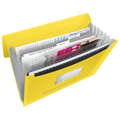 Image of Esselte A4 Expanding Project File, Integrated Index with 6 Compartments, Elastic Closure, Flexible Plastic, Yellow, VIVIDA Range, 624020