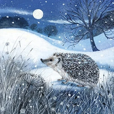 Image of Museums &amp; Galleries Pack of 8 Artistic Charity Christmas Cards Hedgehog and Moon Lovely Illustration a Winter Scene by Lucy Grossmith 1 Design, Multi