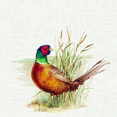 Image of IHR Ideal Home Range Paper Napkins Hunted Pheasant Cream 20 pc. 3 Ply Lunch 33 cm x / 13 inch