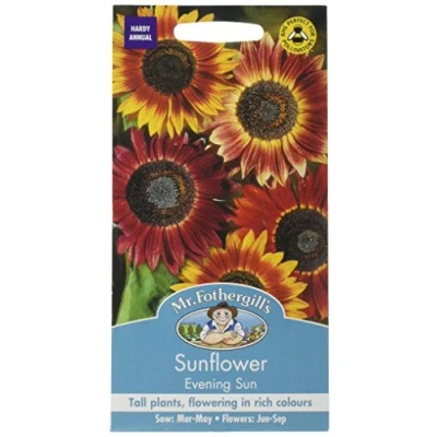 Image of Mr. Fothergill&#039;s Evening Sun Sunflower Seeds
