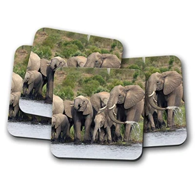 Image of 4 Set Elephant Herd Coaster Wild Africa Baby Animal Zoo Mum #15570