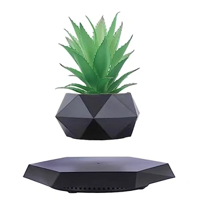 Image of Levitating Plant、Floating Plant Pot for Succulents, air Bonsai &amp; Plants. Floating Planter Home, Office Desk Decor. Magnetic Display. (Black)