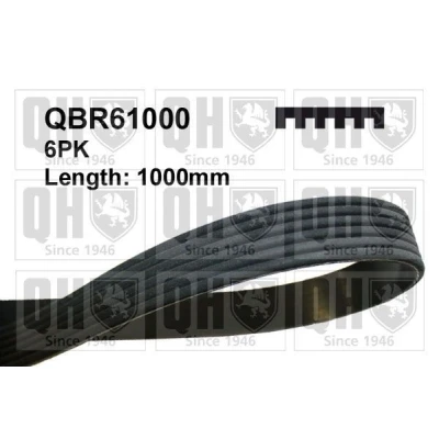 Image of 99919228350, 99919228550, 99919229150, 99919229550, 99919229950 V ribbed belt QUINTON HAZELL QBR61000 1000mm 6 HONDA: CIVIC 8 Hatchback