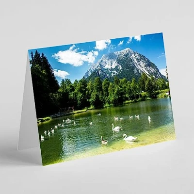 Image of Beebooh cards swans swimming in lake birthday card