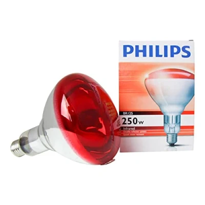 Image of GIMA 28654 Bulb, for Infrared Therapy Lamp, 250W
