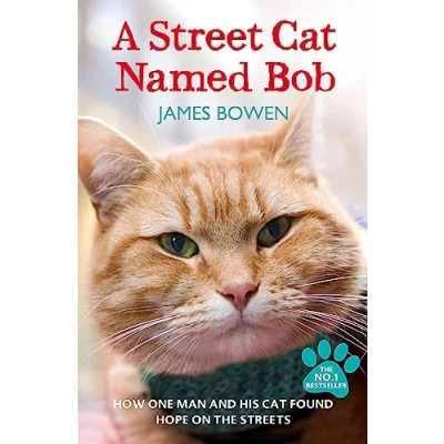 Image of A Street cat Named Bob: How one man and his found hope on the streets