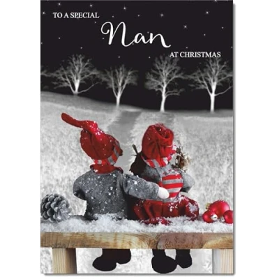 Image of doodlecards Nan Christmas Card Couple at Night Medium Size for with Plain Envelope