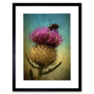 Image of Wee Blue Coo Photo Bumble Bee Thistle Flower Scotland Picture Framed Wall Art Print