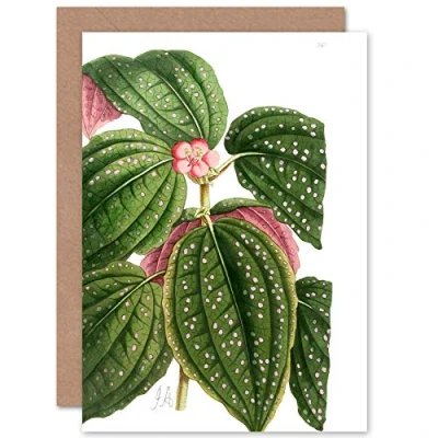 Image of Fine Art Prints Flower Spotted Leaves Pink Green Greeting Card With Envelope Inside Premium Quality