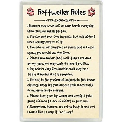 Image of Rottweiler Rules Humour Jumbo Fridge Magnet Ideal Dog Lover Birthday Gift M119
