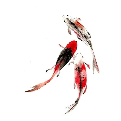 Image of Wee Blue Coo Japanese Koi Fish Black And Red Art Print Poster Wall Decor 12X16 Inch