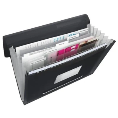 Image of Esselte A4 Expanding Project File, Integrated Index with 6 Compartments, Elastic Closure, Flexible Plastic, Black, VIVIDA Range, 624017