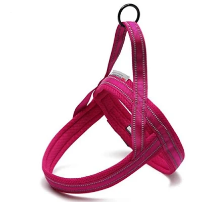 Image of WINHYEPET True Love Dog Harness Nylon Ribbon Comfortable Inner Safety Reflective Strip Convenient Adjustable Easy Control Pet Vest Suitable for Small Medium and Large Dogs TLH5811(Orange,XS)