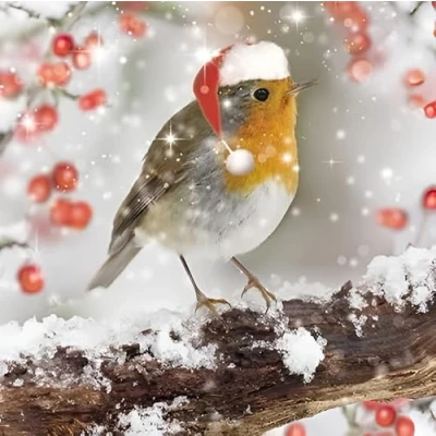 Image of Charity Christmas Cards Pack of 10 British Heart Foundation, NSPCC, Marie Curie, Alzheimer&#039;s Society, Parkinson&#039;s UK and Age Snowy Festive Robin Eco Friendly