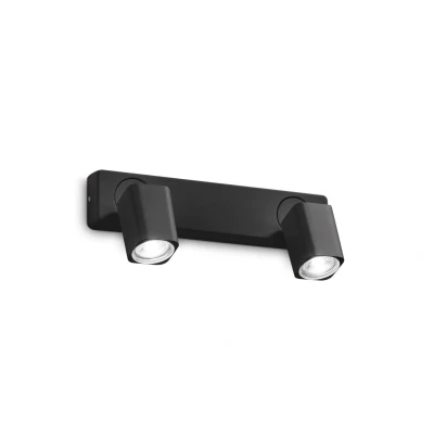 Image of Rudy 2 Light Twin Ceiling Spotlight Black