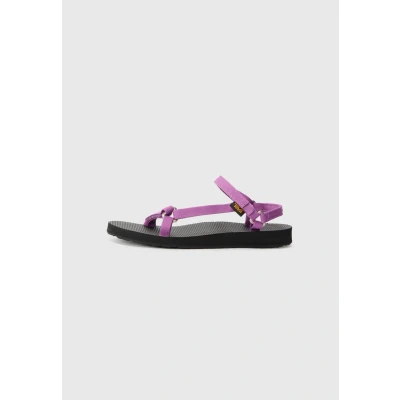 Image of Teva Original Universal Slim Womens Walking Sandals in Black Purple 3 UK
