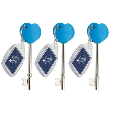 Image of Triple Pack Radar Blue Badge Co Genuine &amp; Offical NKS Key for Disabled Toilets, Accessible Loos in The UK, Easy Turn Access Key, Ideal Holders