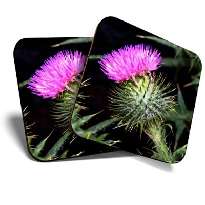 Image of Great Coasters (Set of 2) Square/Glossy Quality Coasters/Tabletop Protection for Any Table Type Purple Thistle Flower Flowers Scottish Scotland #3589
