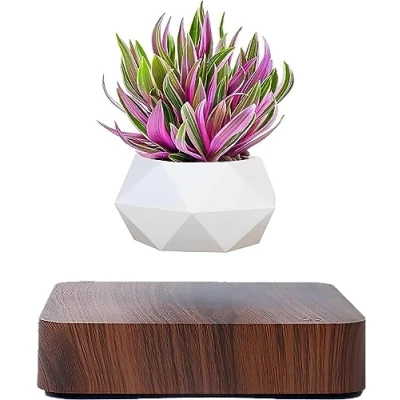 Image of Levitating Air Bonsai Pot, Rotation Flower Pot Planters, Magnetic Levitation Suspension Floating Potted Plant Home Desk Decor in Pots &amp; Planters from Garden on (Dark Color)