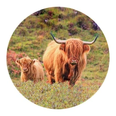 Image of Lesser &amp; Pavey Cow Calf Trivet For Kitchen Home Ceramic British Designed Trivets Accessories Heat Resistant Rest All Type of Pots and Utensils Pan