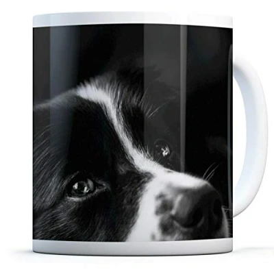 Image of Border Collie Sheep Dog Drinks Mug Cup Kitchen Birthday Office Fun #8639