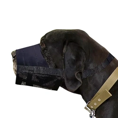 Image of Dingo Waldemar Rutkowski Nylon Muzzle for Rottweiler, Deutsche Dogge, German Shepherd, Large Breeds 16777, Black, XL