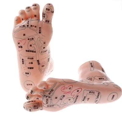Image of Tubayia 2 Pieces 19 cm Human Massage Feet Model Acupuncture Reflexology for School Teaching Supplies Collectibles