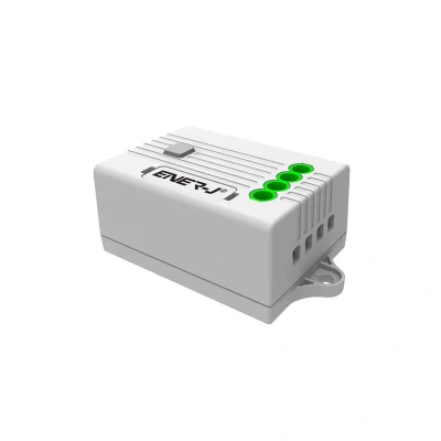 Image of Ener J 5A Receiver for Non Dimmable Switch