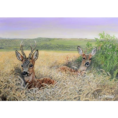 Image of Wildlife and nature greeting card. Roe Deer by Dick Twinney