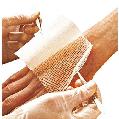 Image of Jelonet 7459 Dressing 10 x 40 cm (Pack of 10)