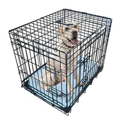 Image of Ellie Bo Black Deluxe Medium 30 inch Folding 2 Door Dog Cage/Crate with Metal Tray and Bed Mat